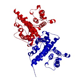 Image of CATH 3n6o