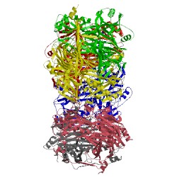 Image of CATH 3n9h