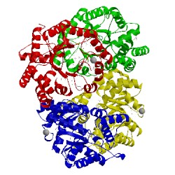 Image of CATH 3na8