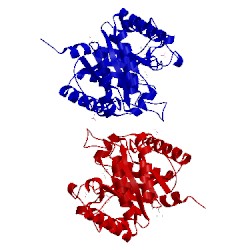 Image of CATH 3nco