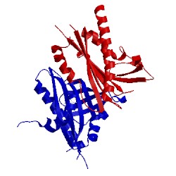 Image of CATH 3nef