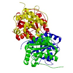 Image of CATH 3ng4