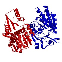 Image of CATH 3ngx