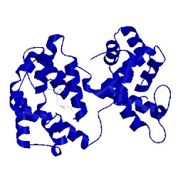 Image of CATH 3nht