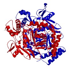 Image of CATH 3nlh