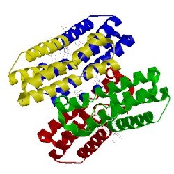 Image of CATH 3nmj