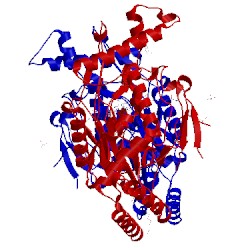 Image of CATH 3nqs