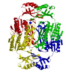 Image of CATH 3nrb