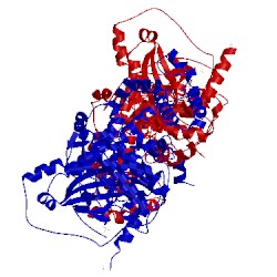 Image of CATH 3nyo