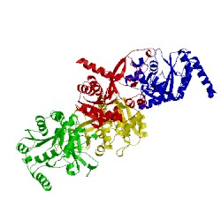 Image of CATH 3oam