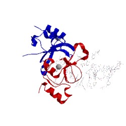 Image of CATH 3odc