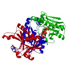 Image of CATH 3ofv