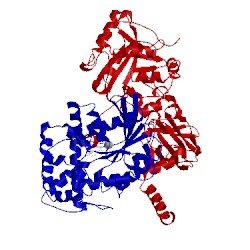 Image of CATH 3ohm