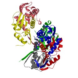 Image of CATH 3ohu