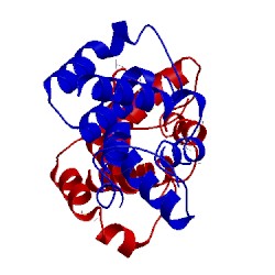 Image of CATH 3ohw