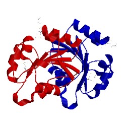 Image of CATH 3ooo