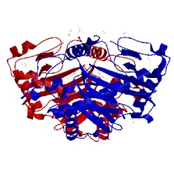 Image of CATH 3oox