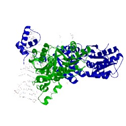 Image of CATH 3oqo