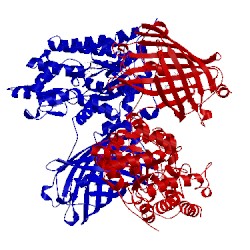 Image of CATH 3osr