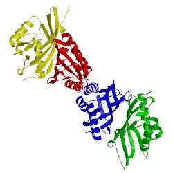 Image of CATH 3ows