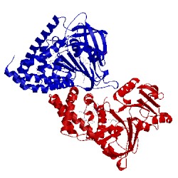 Image of CATH 3ozw