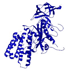 Image of CATH 3p20