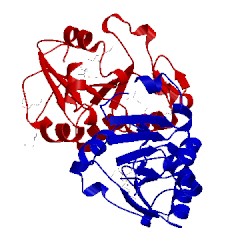 Image of CATH 3p3v