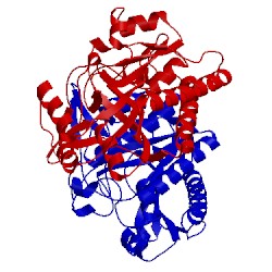 Image of CATH 3p8t