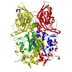 Image of CATH 3pco