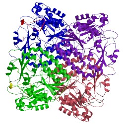 Image of CATH 3pdi