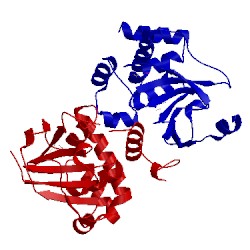 Image of CATH 3phu