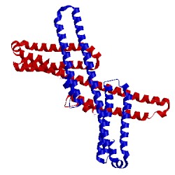 Image of CATH 3pmr