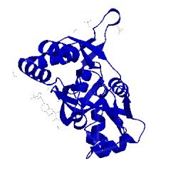 Image of CATH 3pmx