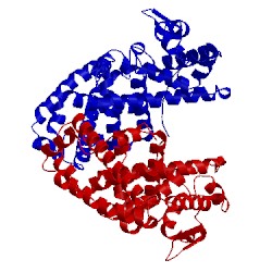 Image of CATH 3pom