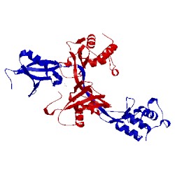 Image of CATH 3pv1