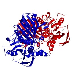 Image of CATH 3pws