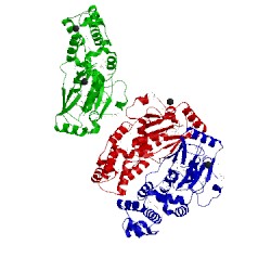 Image of CATH 3pxp