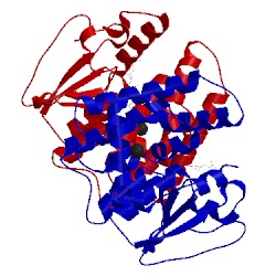 Image of CATH 3q19