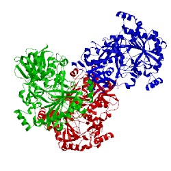 Image of CATH 3q9t