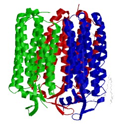 Image of CATH 3qbg