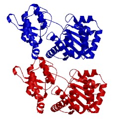 Image of CATH 3qe4