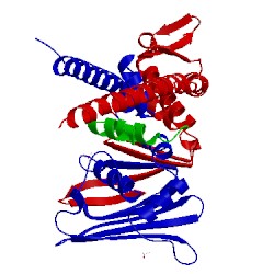 Image of CATH 3qkr