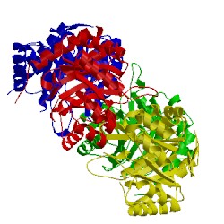 Image of CATH 3qq1