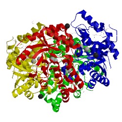 Image of CATH 3qxb