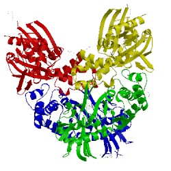 Image of CATH 3r1x