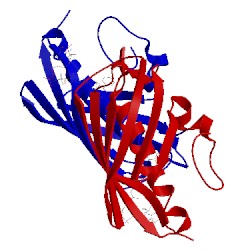 Image of CATH 3r32