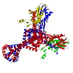 Image of CATH 3rad