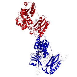 Image of CATH 3rbd