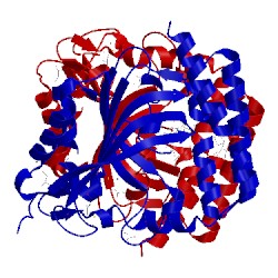 Image of CATH 3rf1