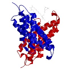 Image of CATH 3rlb